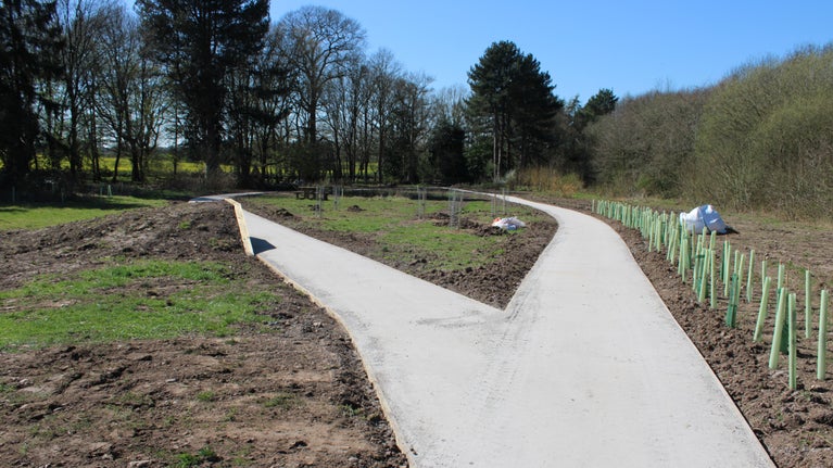 In the Stablecroft, there is a new, looping accessible path. On the right of the path are newly planted trees, and to the left is the bee's eye view mound.